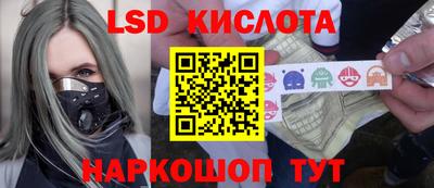 сатива Новозыбков