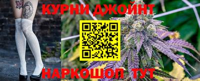 сатива Новозыбков