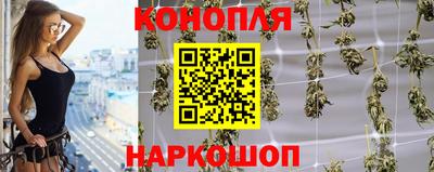 a pvp Новокубанск