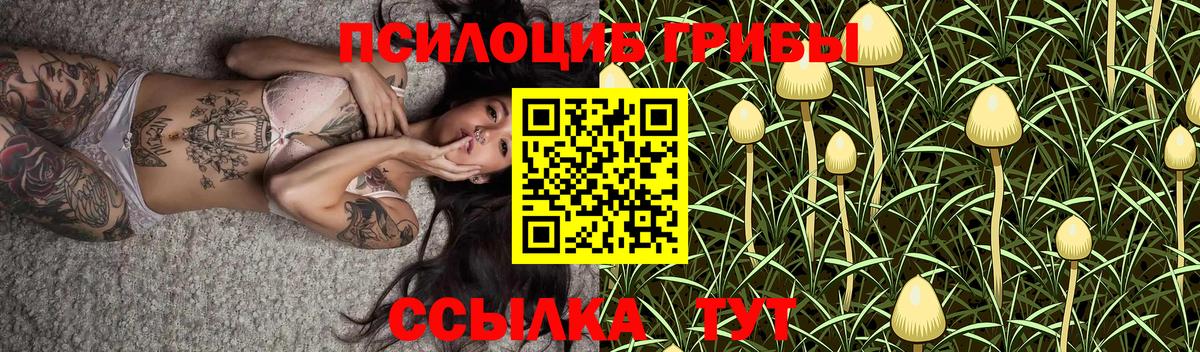 Галлюциногенные грибы прущие грибы Реутов
